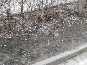 Погуляем – поснимаем