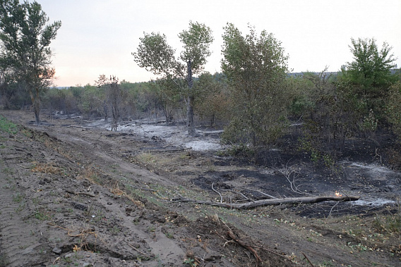 На пожарище в Усть-Донецком районе. Источник фото: пресс-служба губернатора Ростовской области.