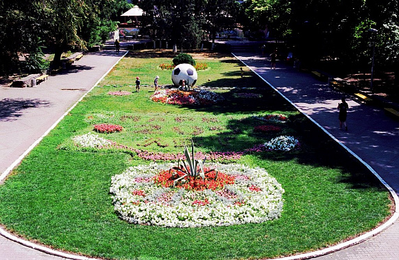 В Ростове посчитают деревья