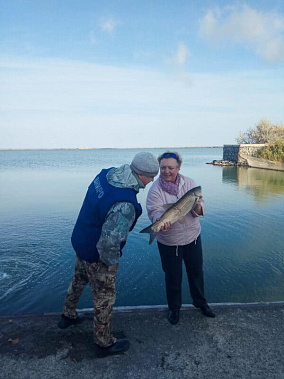 В акваторию охладителя Ростовской АЭС запустили рыб-мелиораторов
