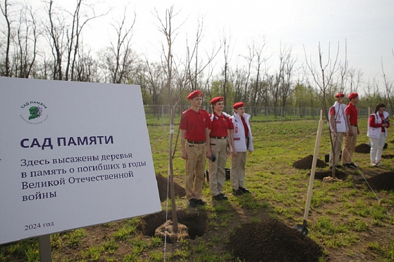 Сад памяти появился в поселке Орловском Источник фото: пресс-служба губернатора Ростовской области.