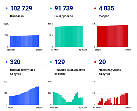 Коронавирус в Ростовской области: статистика на 12 июля