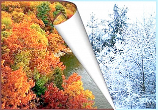 Что можно отметить в этот день