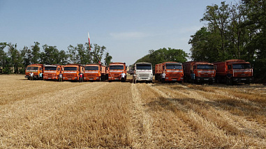Парад Победы прошел в колхозе имени Шаумяна в Мясниковском районе