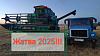 На донских полях собрано более 8 млн тонн ранних зерновых культур