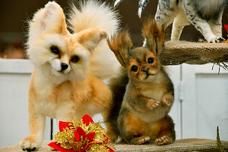 09 12 2024 Все куклы в гости к нам