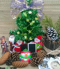 «А мне жалко ёлки рубить!»