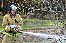 В области готовятся к лесным пожарам