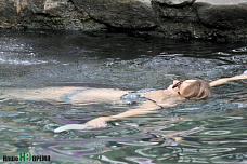 Вода смывает все грехи