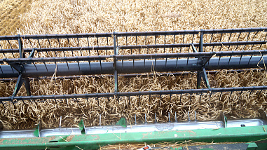 В Октябрьском (с.) районе уборку урожая ведут наперегонки  с дождем