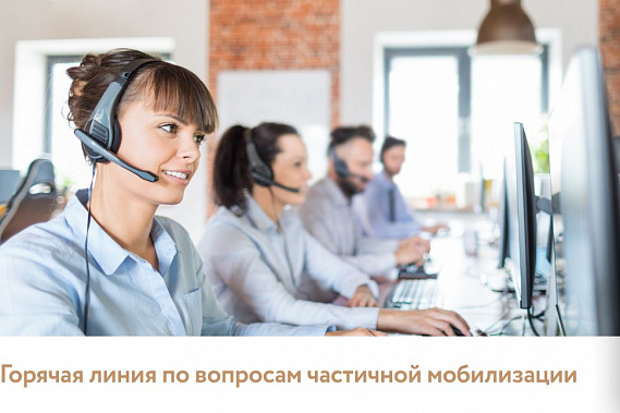 В Ростовской области заработала горячая линия для предпринимателей по вопросам мобилизации