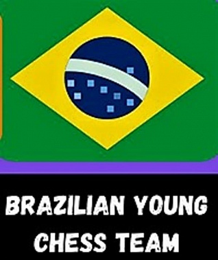 Донские юниоры проиграли молодежной сборной Бразилии