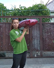 За спасение братьев меньших
