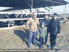 В Миллеровском районе буренкам вирус не мешает