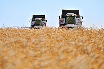 Сбор урожая подходит к концу