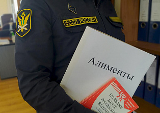 В донском главке ФССП России проведут приём граждан по вопросам взыскания алиментов