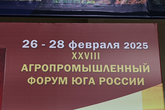 Источник фото: правительство Ростовской области