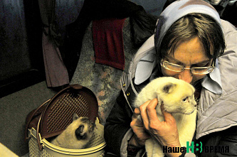 Беженцы из Мариуполя: «Мы вырвались из ада»