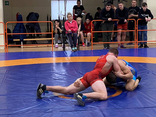 В первенстве Ростовской области по вольной борьбе отличились ростовские спортсмены