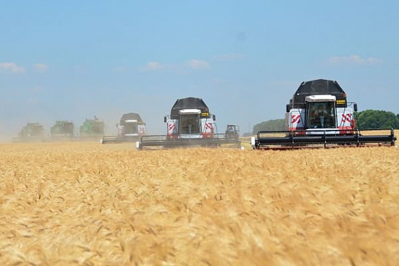 В Ростовской области завершена уборка зерновых 