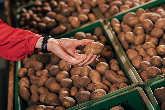 В Ростовской области за месяц картошка подорожала на 18,4%