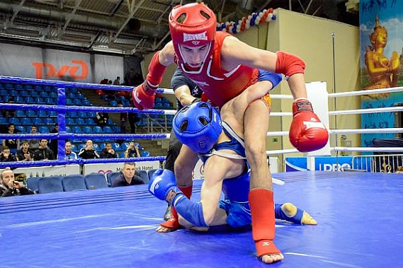 На Дону прошёл форум тайского бокса