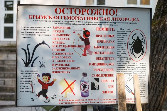 На Дону зарегистрирован первый в нынешнем году случай заболевания конго-крымской геморрагической лихорадкой (КГЛ)