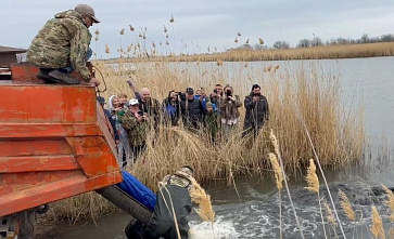 В Веселовское водохранилище выпущено около 2400 особей молоди белого амура