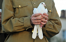 Фоторепортаж акция «Журавли»