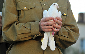 Фоторепортаж акция «Журавли»