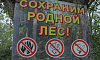 Правила пожарной безопасности в лесах претерпят изменения