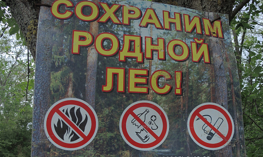 Правила пожарной безопасности в лесах претерпят изменения