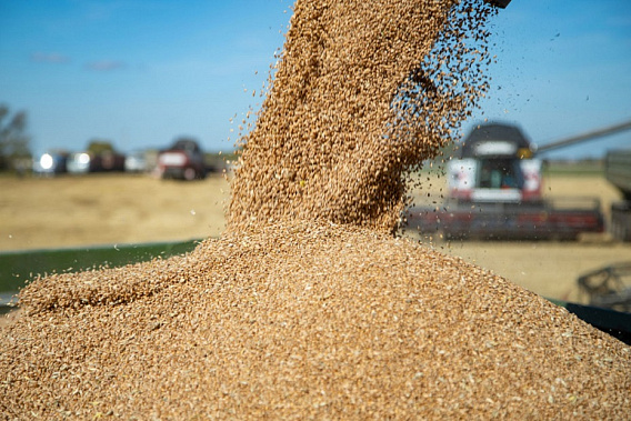  Источник фото: alagro.ru