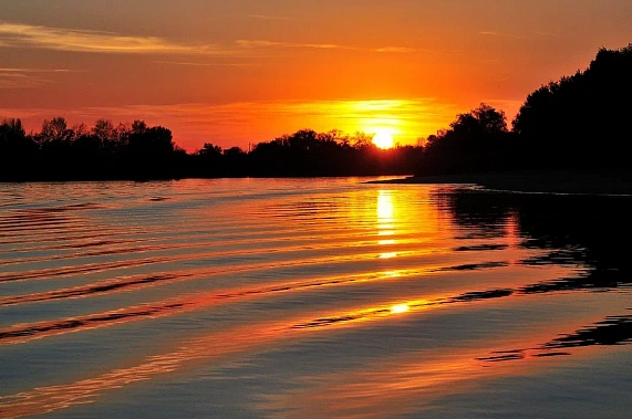 В детский лагерь с кешбэком