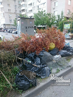 Фото из сообщества «Ростов главный»