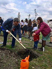 Аллея памяти появилась в станице Ольгинской