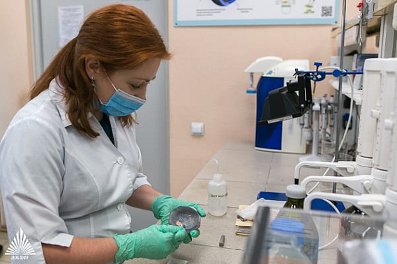 Ростовская область заняла 11-е место в рейтинге научно-технологического развития регионов