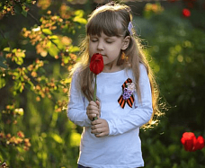 В Новочеркасске подвели итоги конкурса «Георгиевская лента»