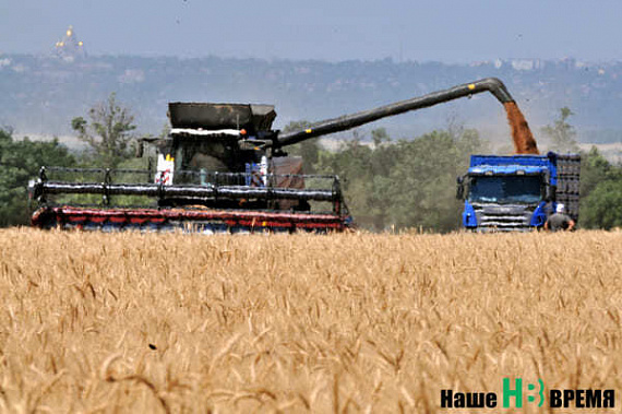 Азовских футболистов отпустили на жатву