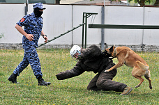 21 06 2025 Определились лучшие кинологи Росгвардии юга России