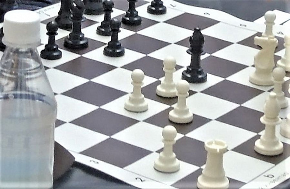 Донские шахматисты сыграют с сибиряками