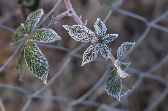 Источник фото: Kubnews/Михаил Ступин.