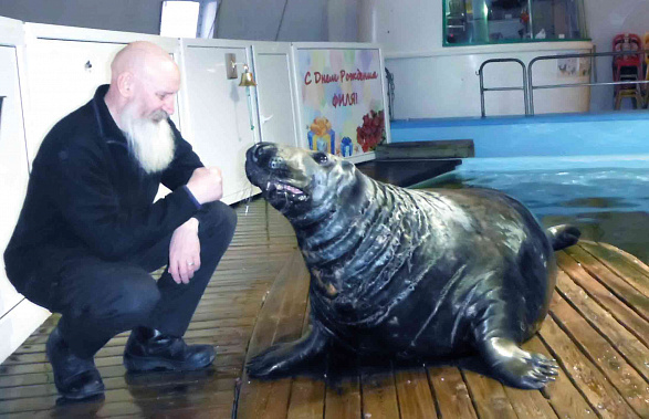 История тюленя-найденыша