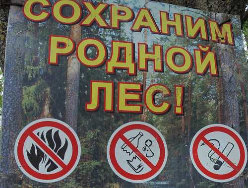 «Не рубите, мужики! Не губите!»