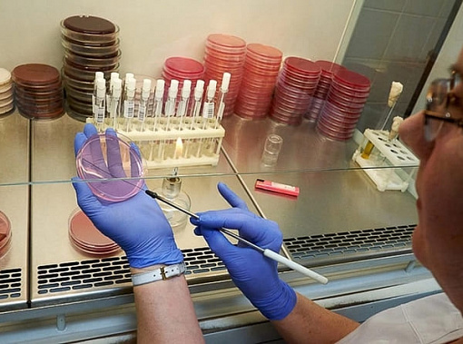 На Дону зарегистрировано еще 94 случая коронавируса