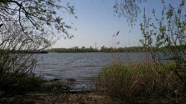 В Ростове перевернулась лодка, пропал человек