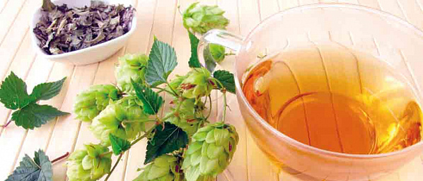 Антибиотики будущего