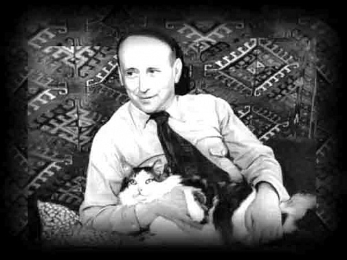 Как солнечный удар