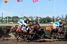 Скачки на Кубок губернатора