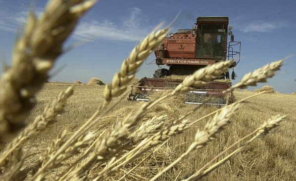 Действующий на Дону режим ЧС переведен на федеральный уровень
